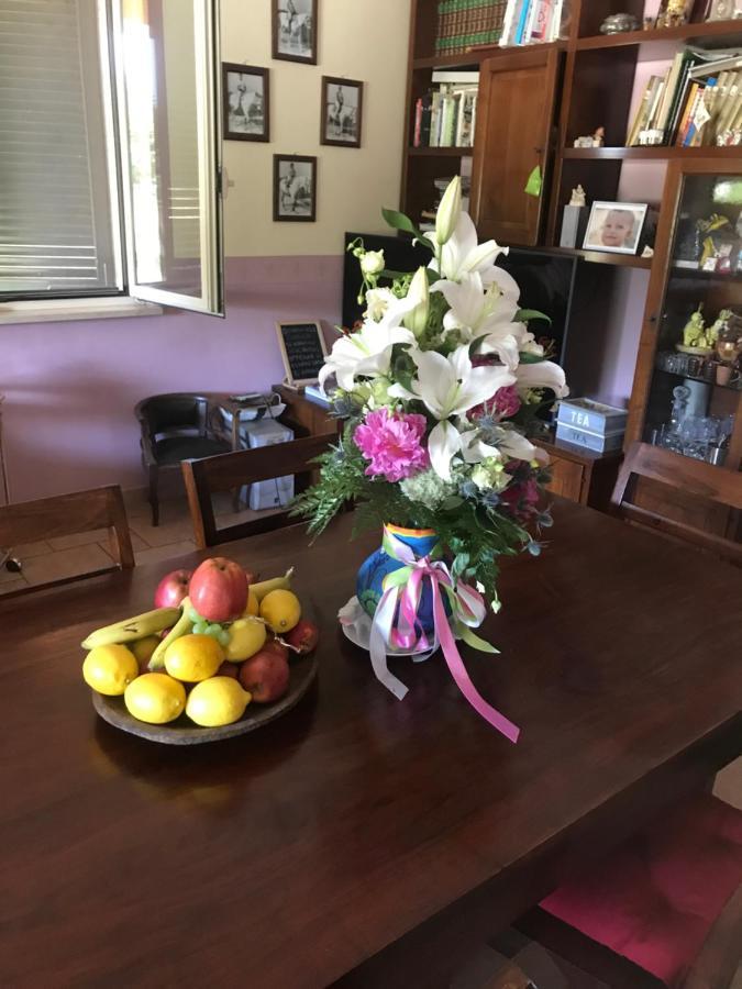 Bed and Breakfast Gli Angeli Candelo Zewnętrze zdjęcie